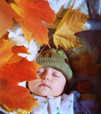 Maple Glory Elsila Buescher